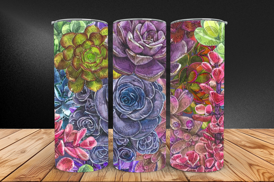 Succulents